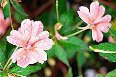 《机场安检模拟器》Steam上线 体验机场安保